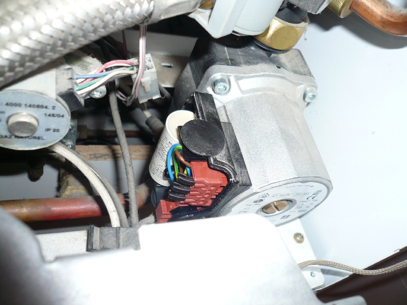 ds_P1070486.jpg, 208.87 kb, 800 x 600