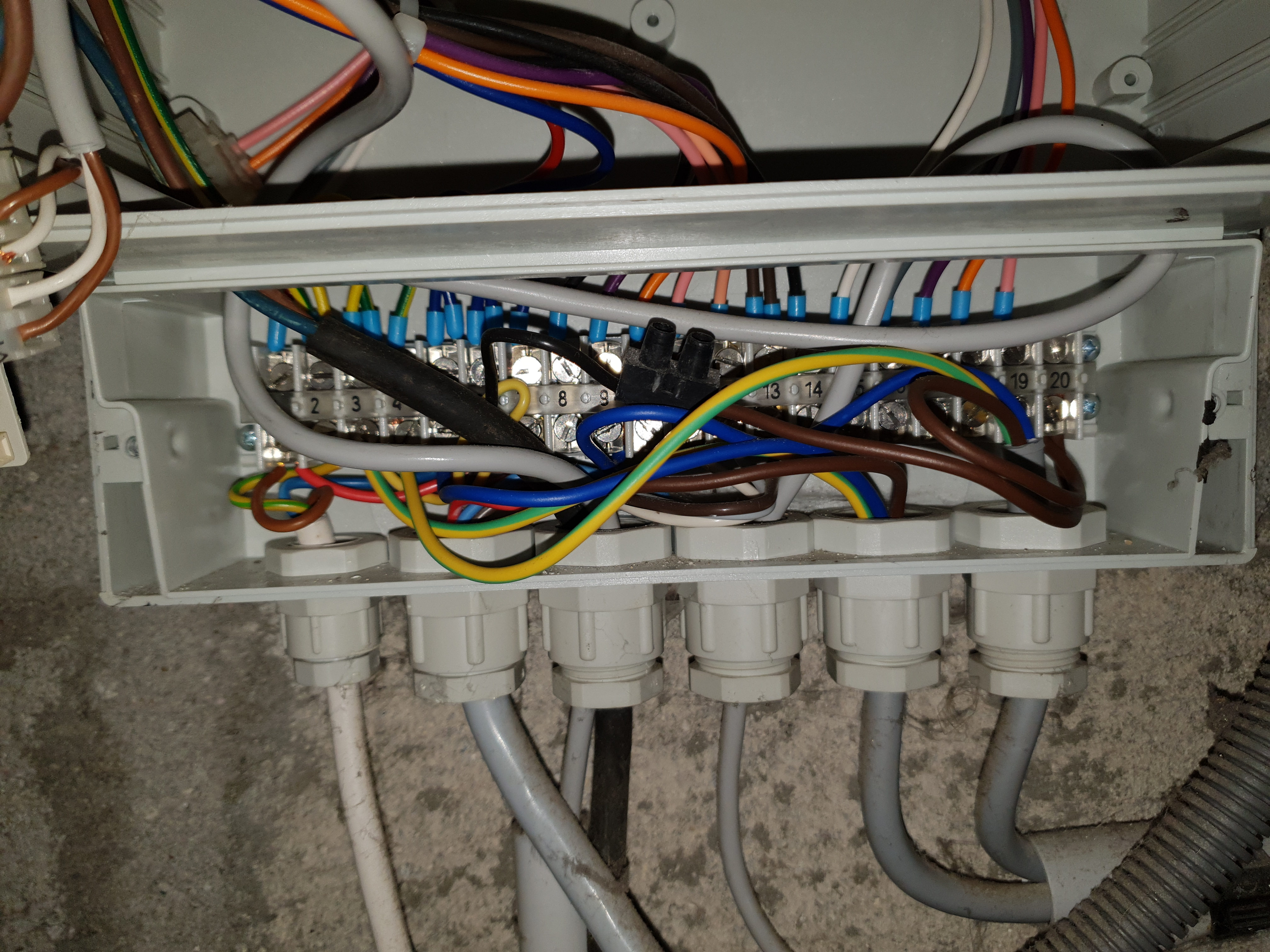 20180331_113041.jpg