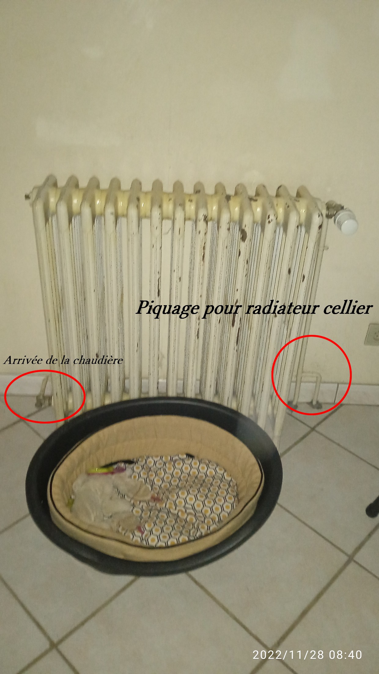 Radiateur.jpg, 442.56 kb, 1240 x 2204