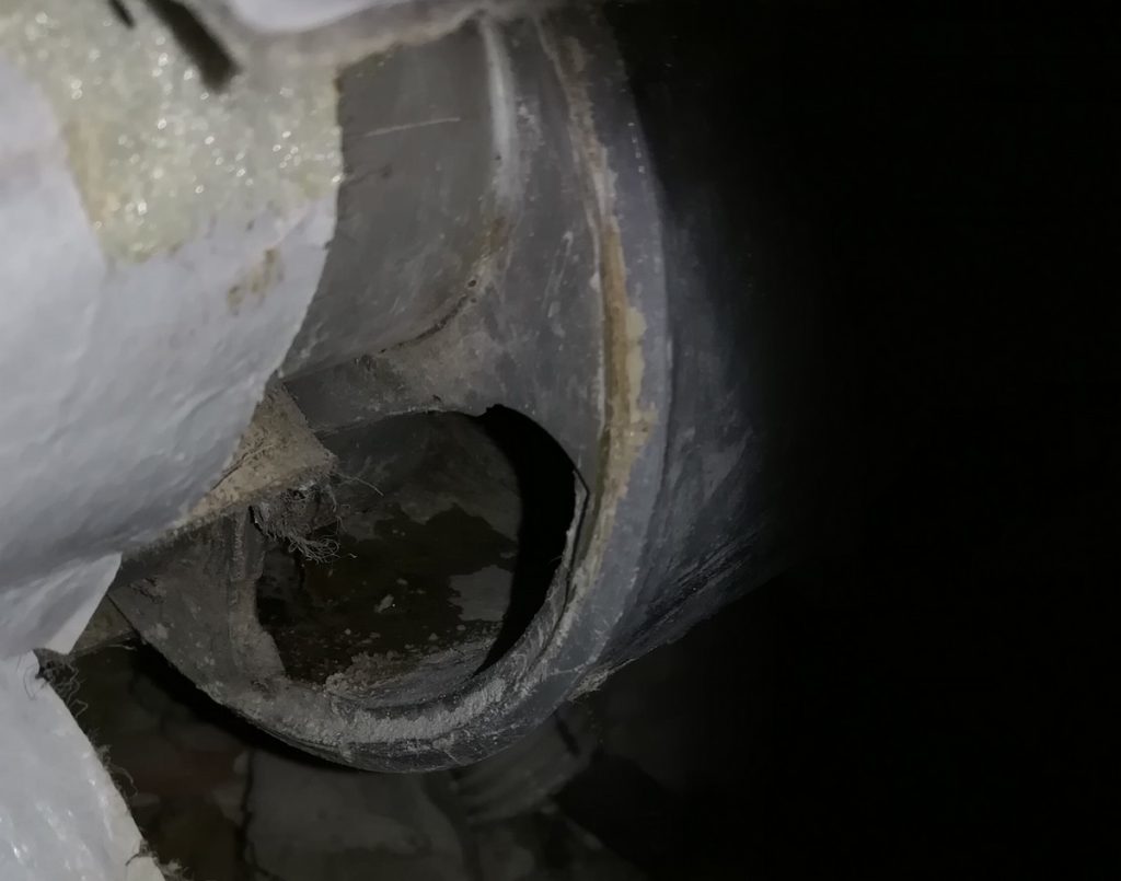 image: Culotte percé avec furet