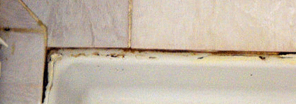 Joint de silicone moisi