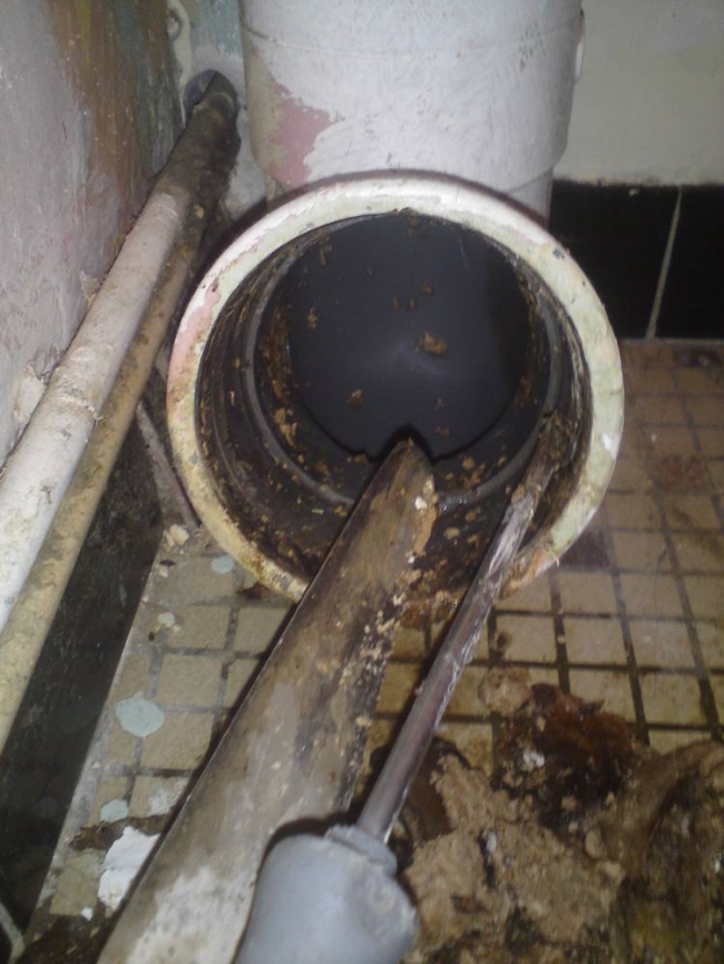 Image de: Pvc détartré