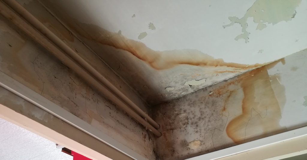 Dégats suite infiltrations