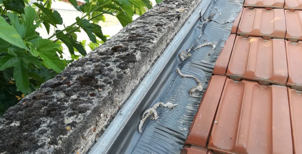 Emplacement du joint