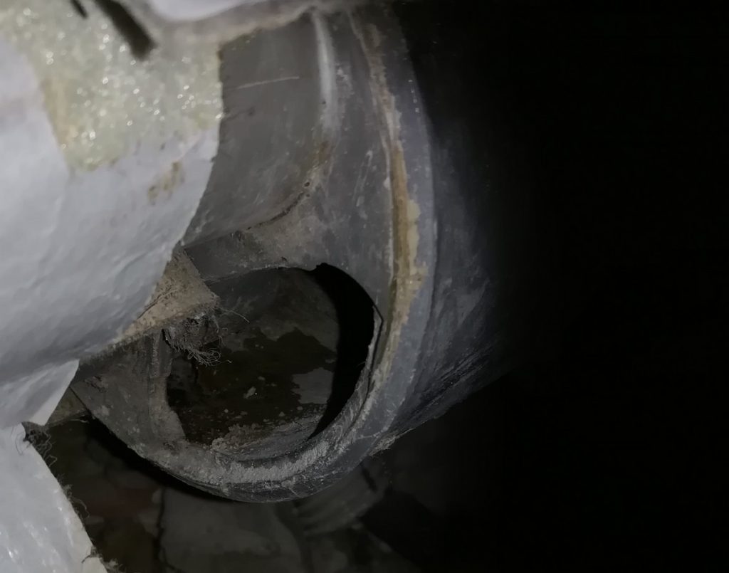 image: Culotte percé avec furet