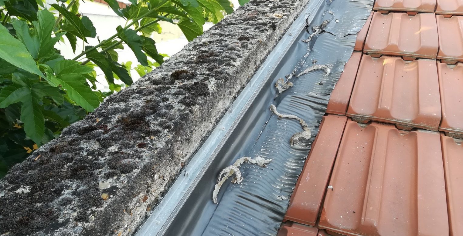 nettoyer le siliconne